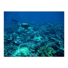  Canvas Diving Effects Oil Painting Hanging Picture Poster Canvas Print Painting Wall Art Living Room Home Decoration 