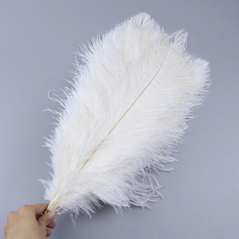 TS0145312 45-50cm ostrich feathers 3