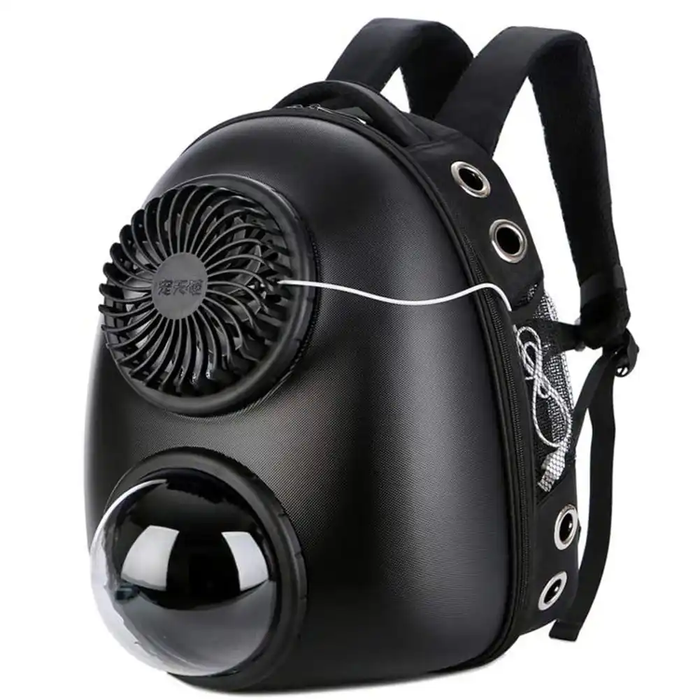 cat in bubble backpack