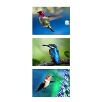 

3 Panels Room Decor Poster Beautiful Alcedo Canvas Wall Art Painting Modern Style Living Room Decoration Wall Decor Picture