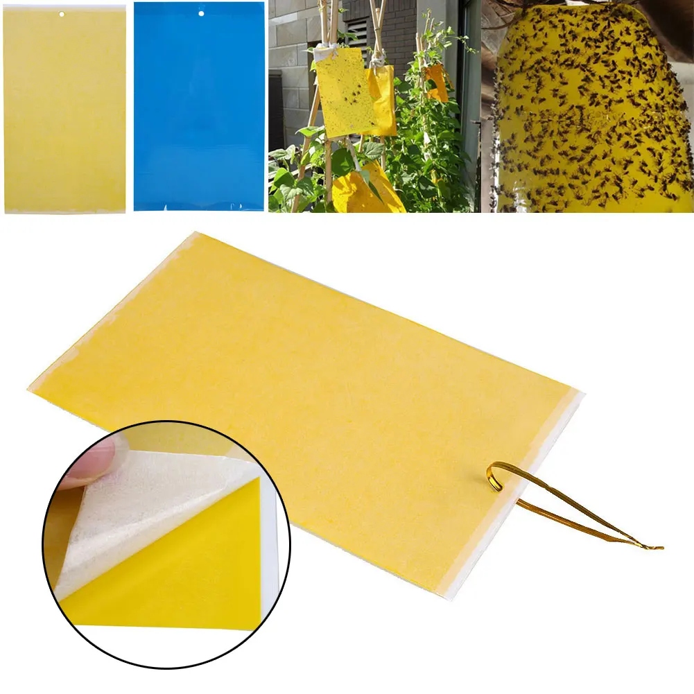 Летающая доска для ловли бумаги растительного сада дерева висячие грибковые мошки нетоксичные домашние старатели листьев мух ловушки наружная тля