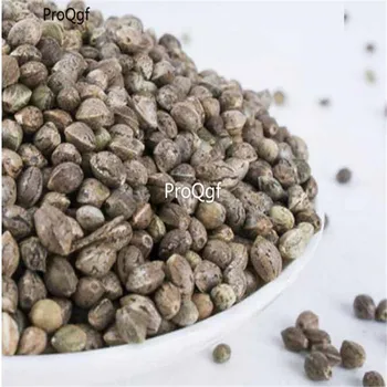 

Ngryise 1000Pcs A Set Chinese herbal medicine Line Garden decoration