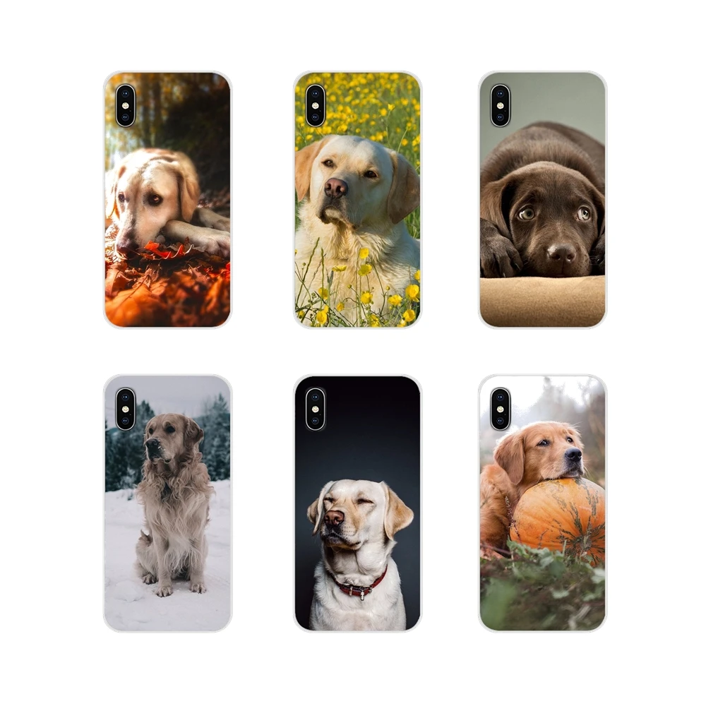 Accessories Phone Shell Covers For Huawei Y5 Y6 Y7 Y9 Prime Pro GR3 GR5 2017 2018 2019 Y3II Y5II Y6II Labrador Dog | Мобильные