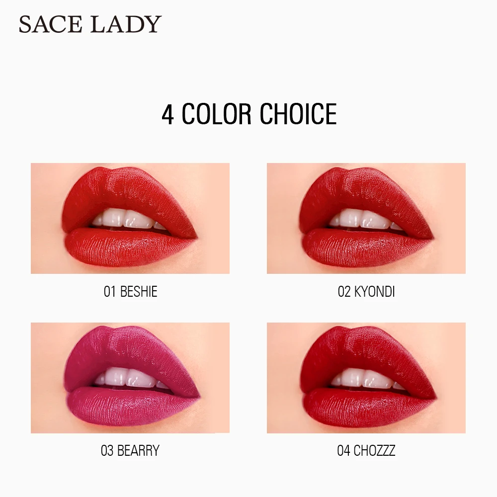 SACE LADY 4 Colors 2 In 1 Lip Gloss Liquid Blusher Long Lasting Waterproof Lipstick cheek 3