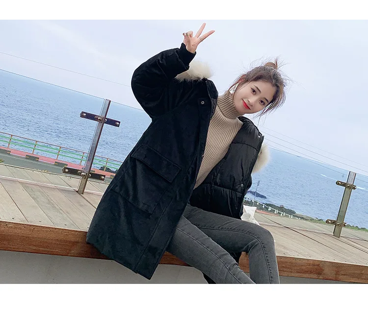  pleuche cotton1_20.jpg