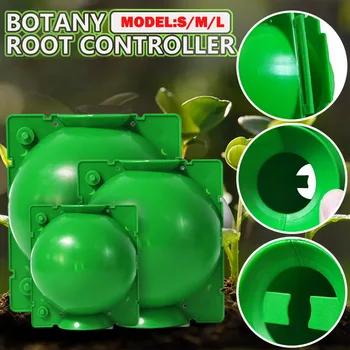 

5pcs Plant Rooting Ball Plant Root Growing Box Grafting Rooting Growing Box Breeding Case For Garden 5/8/12cm