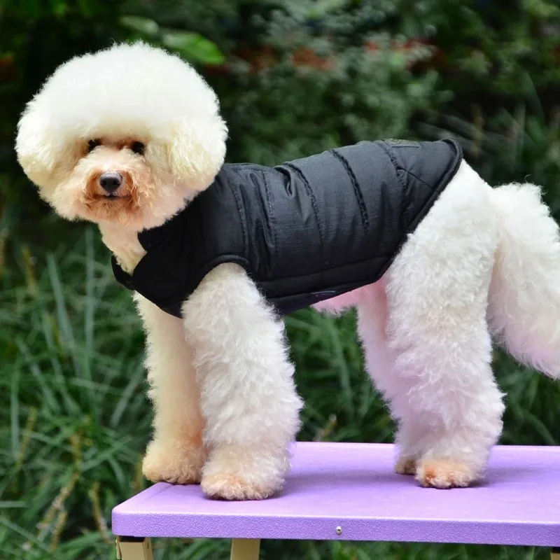 Одежда для собак на осень и зиму, теплая куртка для собак с хлопковой подкладкой, волшебный жилет с наклейками, куртки для маленьких и средних собак