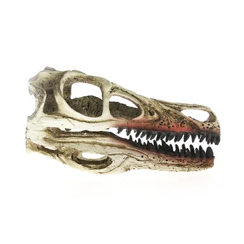 

High Precision Teaching Model Dinosaur Skull Model Velociraptor Fossil Resin Skull Dinosaur Polystone Statue Skeleton Figurine