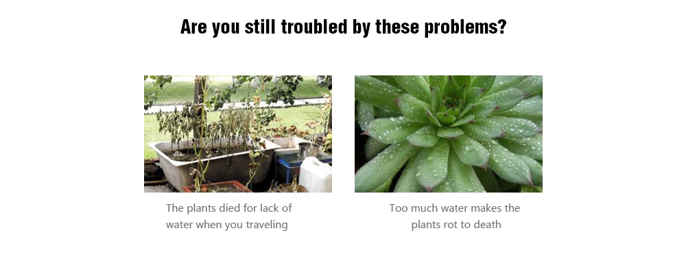 20181219162940_72072