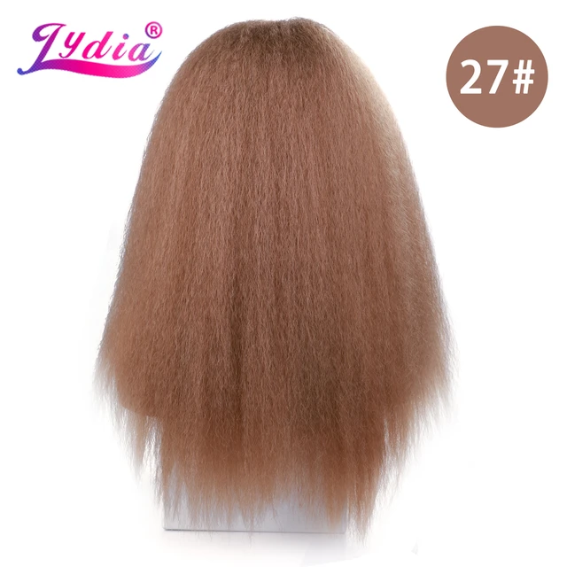 Lydia Long Kinky Straight Synthetic Wigs for Women Black Heat Resistant Fiber Natural Looking Daily&Party Wig 20 Inch Free Side #27