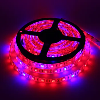 

5 M LED Phyto Lamps Full Spectrum LED Strip Light 300 LEDs 5050 Chip LED Fitolampy Grow Lights For Greenhouse Hydroponic plant
