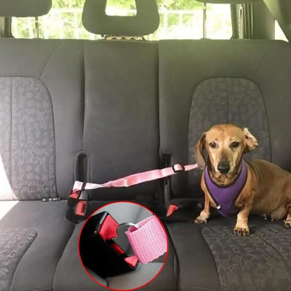 

Dog collar and Seat Belt New Vehicle Car Seatbelt Lead Clip Pet Cat Dog Safety Laisse Chien Cuir