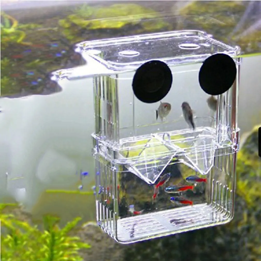 Peacock hatching box double-layer self-floating incubator Juvenile fish breeding acrylic isolation box betta box