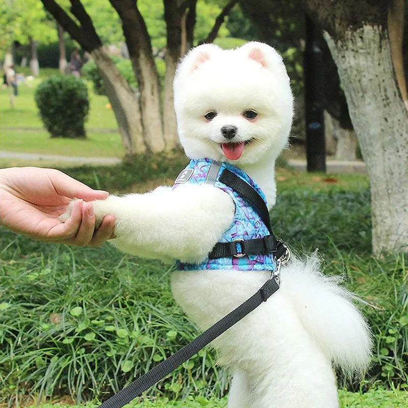 

Ocean Printing Dog Harness Leash Vest Puppy Cat Harnesses Reflective Pet Walking Lead Soft Dog Chest Strap For Puppy Small Dogs