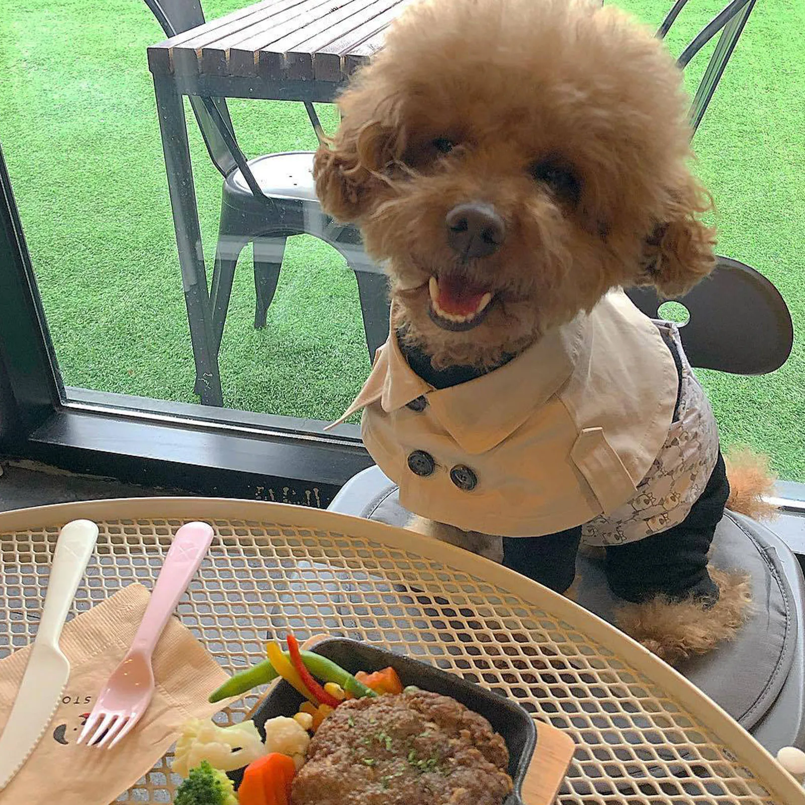British Style - Dog Cloak Windbreaker