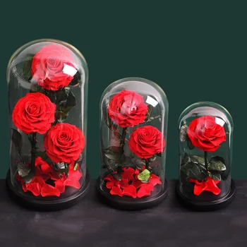 

3 Styles Of Beauty And Beast Roses In A Glass Dome In A Wooden Dome, Valentine's Day Mother's Day Birthday Gift