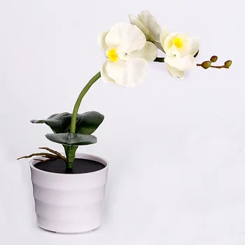 

Nightlight Garden Fake Phalaenopsis Flower Home Outdoor Hotel Solar Light Potted Plant Energy Saving LED Decorative Office