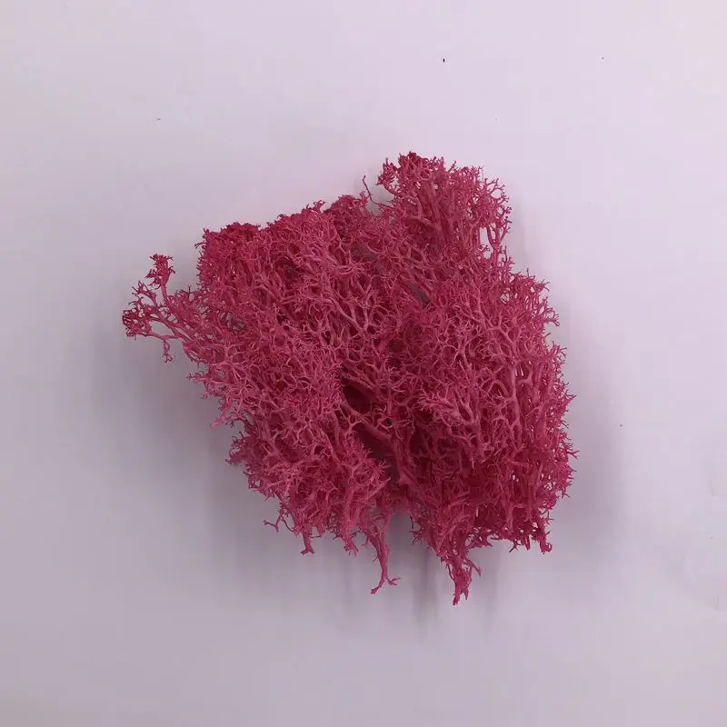 Hot Pink 10 г/лот декоративные сфагны мхи сухой Натуральный Свежий мох настоящая вечная сушеная трава DIY декоративные вечные Цветы Аксессуары - Цвет: Hot Pink