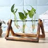 Frame Glass Vase Tabletop Terrarium Hydroponics Plant Vases Bonsai Transparent Flower Pot with Wooden Tray Home Decor 6