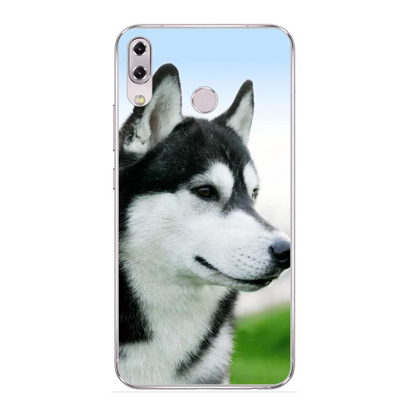 Чехол для Asus Zenfone 5z ZS620KL/Zenfone 5 ZE620KL чехол силиконовый TPU Coque Funda для Asus Zenfone 5 ZE620KL чехол - Цвет: M19