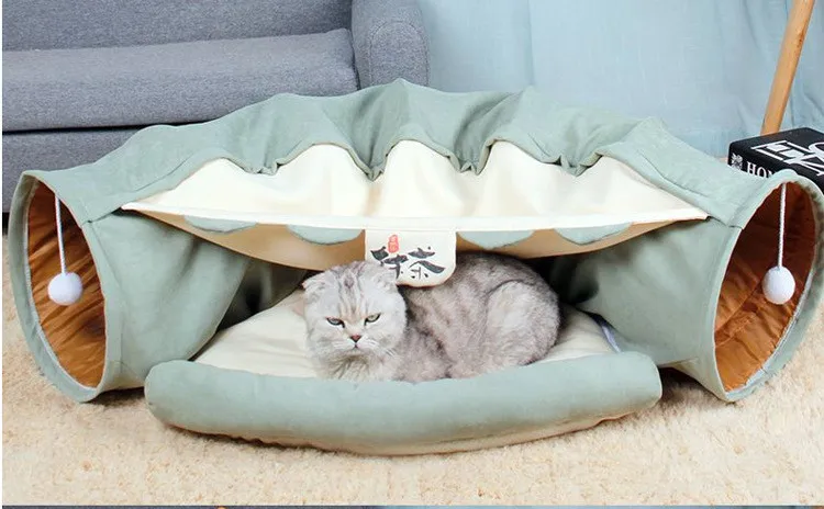 11301805677_95440262