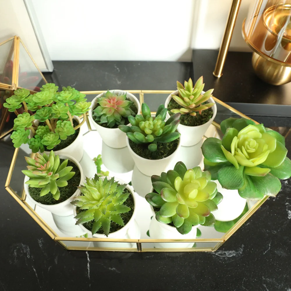 

Mini Artificial Potted Succulent Plant Fake Small Bonsai Pot Home Garden Decor Windowsill balcony home accessories
