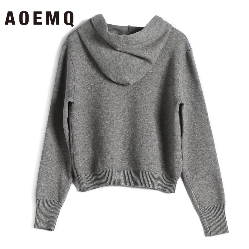 AOEMQ Повседневные свитера, 4 однотонных цвета, осенний спортивный свитер с капюшоном, непромокаемый Блестящий свитер с блестками, топы, женская одежда