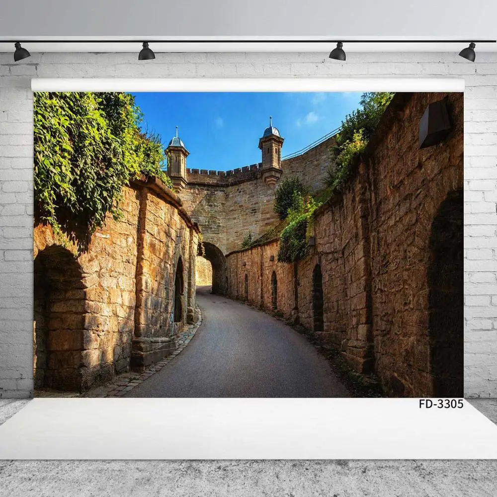 Gothic Castle Vintage Alley Photography Background Decor For Baby Shower Children Portrait Backdrop Photocall Photo Studio Props |
