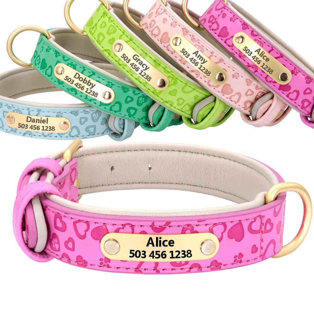 Custom Padded Leather Dog Collar Dogs Cats Everything