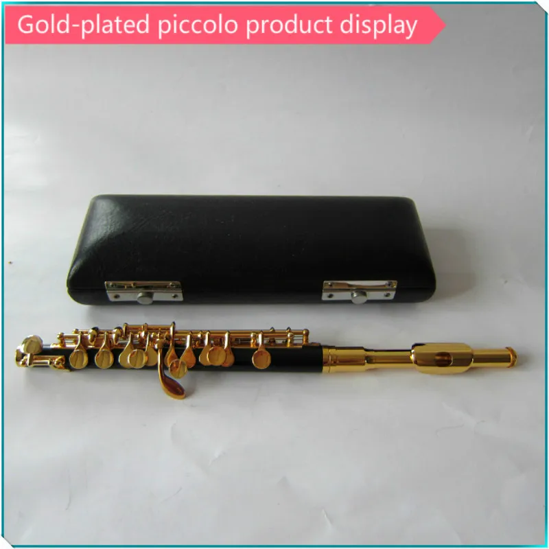 Чехол из АБС-пластика piccolo - Цвет: Gold-plated keys