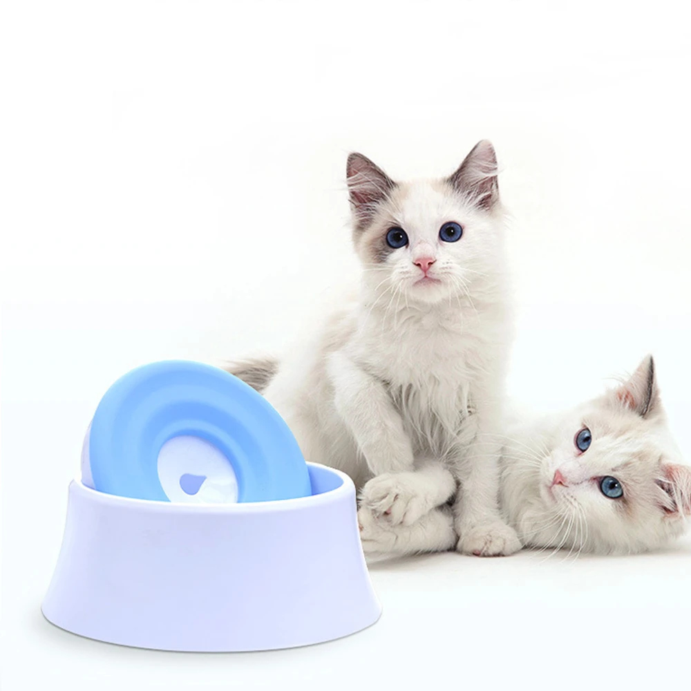 non spill cat water bowl