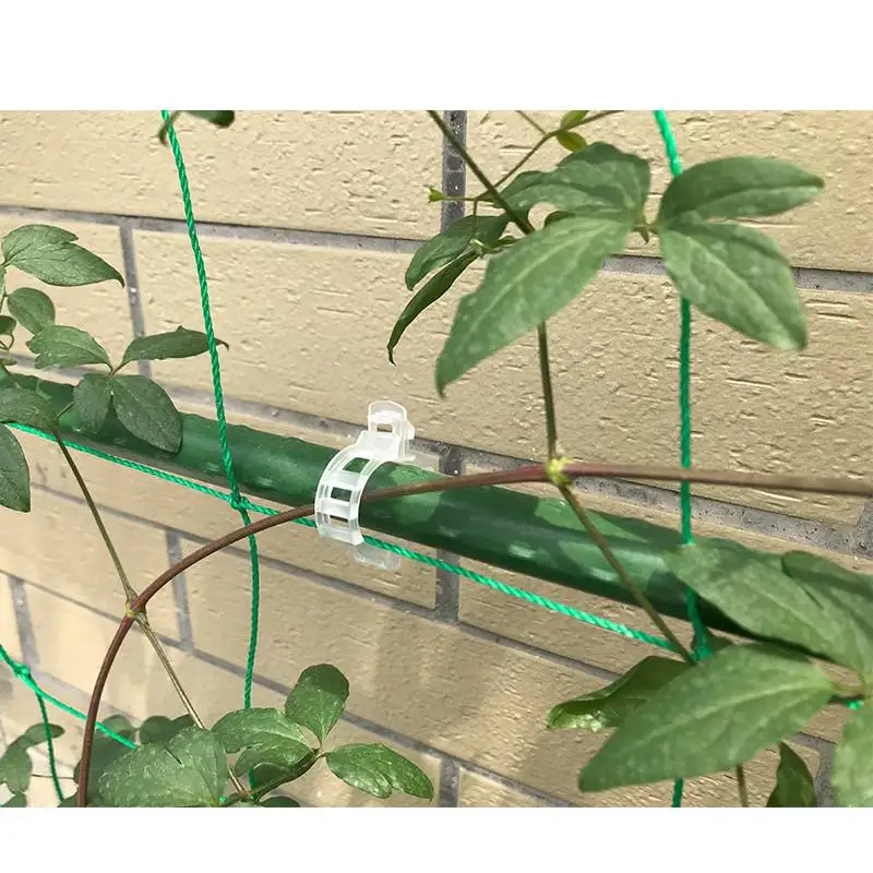 1000PCS Reusable Plastic Trellis Tomato Clips Supports Connects Plants Vines Trellis Twine Cages Veggie Garden Plant Clip