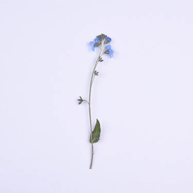 20200313_203701_063_副本