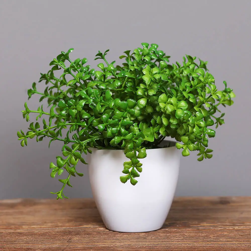 

Mini Artificial Plant in Plastic Pot, Small Lush Green Foliage Faux Potted Plant for Office Desk and Home Tabletop DÃ©cor
