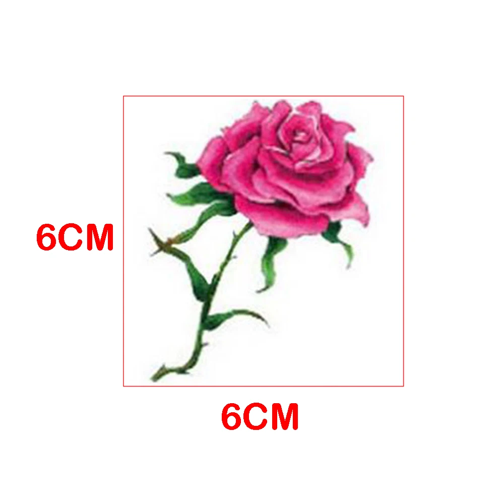 9142733420_977832693