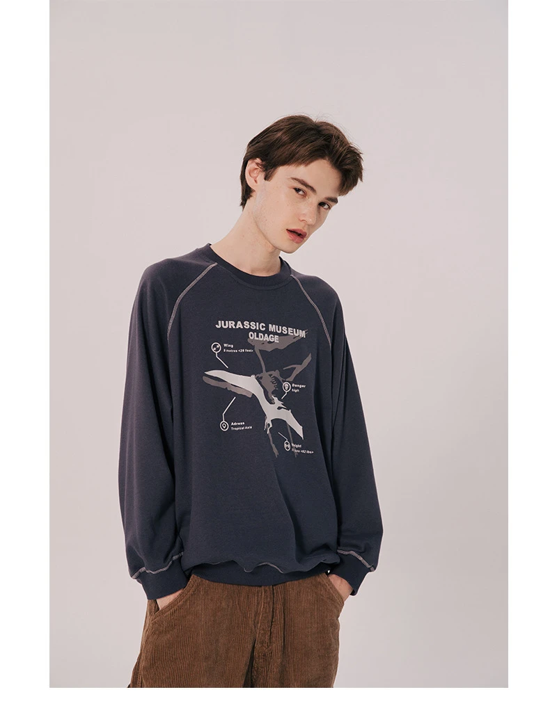 Японский Harajuku Jurassic Графический Печатный Crewneck свитер для мужчин и женщин рукав реглан Уличная пуловер Толстовка