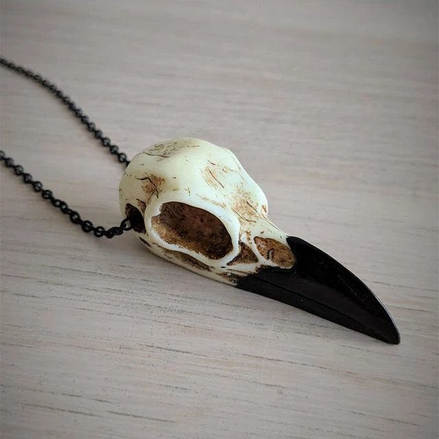 Buy NOVELTY GIANT WWW.NOVELTYGIANT.COM Stone Age Caveman Cavewoman Sabre  Tooth Witch Doctor Halloween Costume Necklace Off White Online at  desertcartKUWAIT