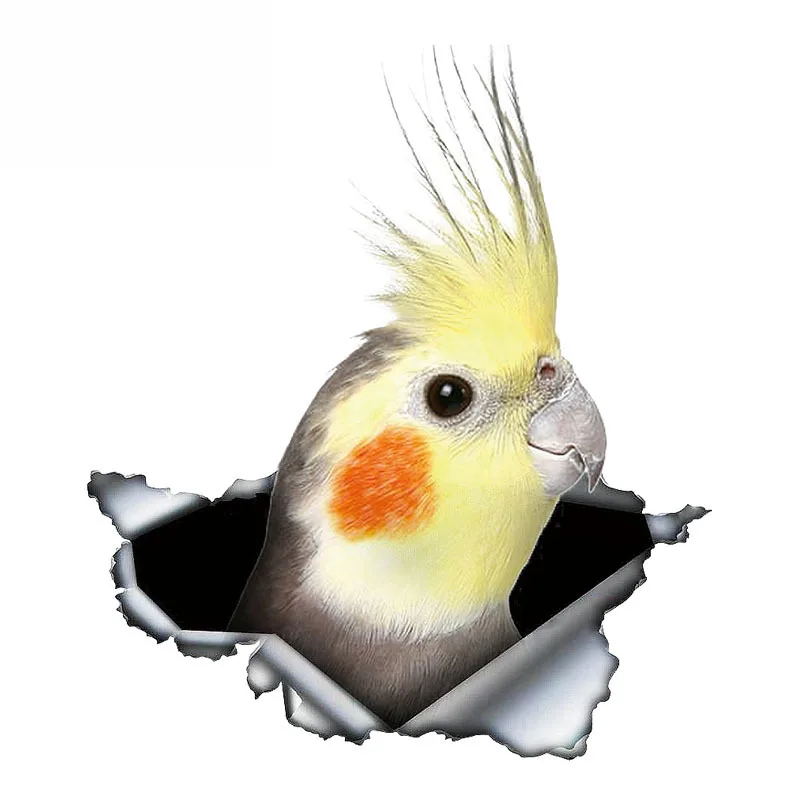 

13cm X 11cm Cockatiel Parrot Lovely Bird Car Sticker Sunscreen Decal Laptop Motorcycle Car Accessories Custom Decal