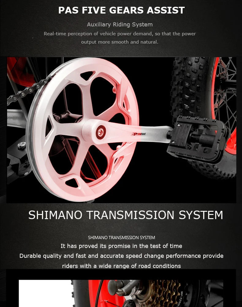 Daibot Electric Scooter Adults Two Wheels Electric Bicycle 20 Inch Big Tire 500W Electric E Bike Scooter With Double Brake  (3)