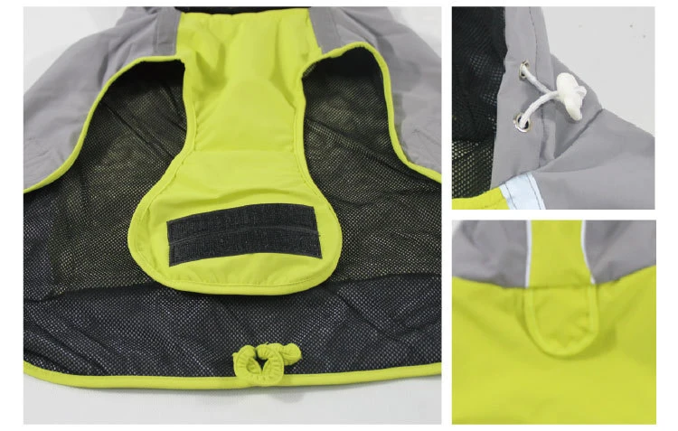 11922049177_1172365047