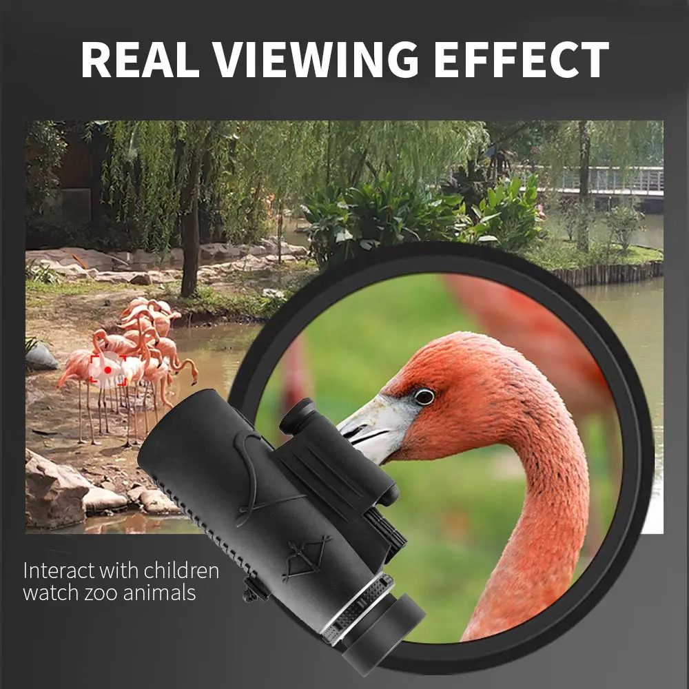 476801_64b31d621c3c4fb1b53ed392aee405b6