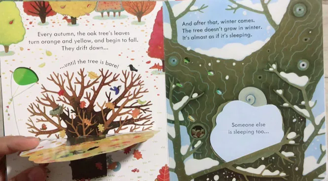 Usborne книги открытые внутри дерева английские развивающие 3d книжки с откидным