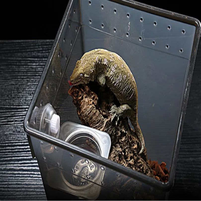 Hdbeba5be58294ce4930331e6d002399cG