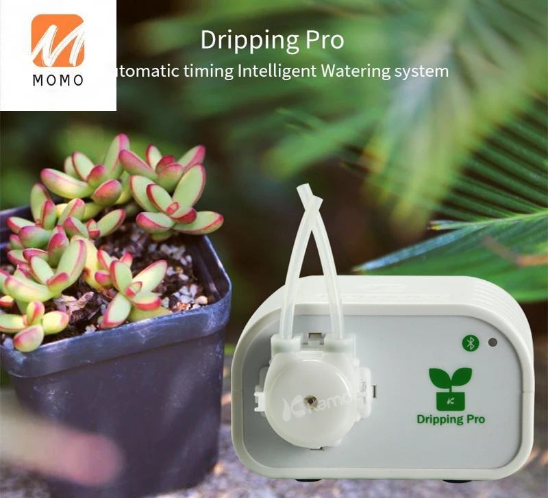 Kamoer dripping pro �������� ����Ʈ irrig �ý���, ����Ʈ ���͸� ���̵���� �޼� �ý��� �ڵ� ��¡ ���� ���� ����Ʈ Ȩ ��ǰ