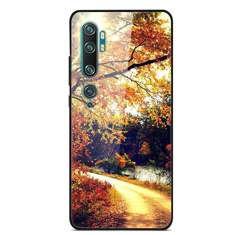 Для Xiaomi mi Note 10 Pro Чехол закаленное Стекло жесткий чехол для телефона для Xiaomi mi Note 10 задняя крышка mi Note10 Coque Примечание 10Pro - Цвет: 19