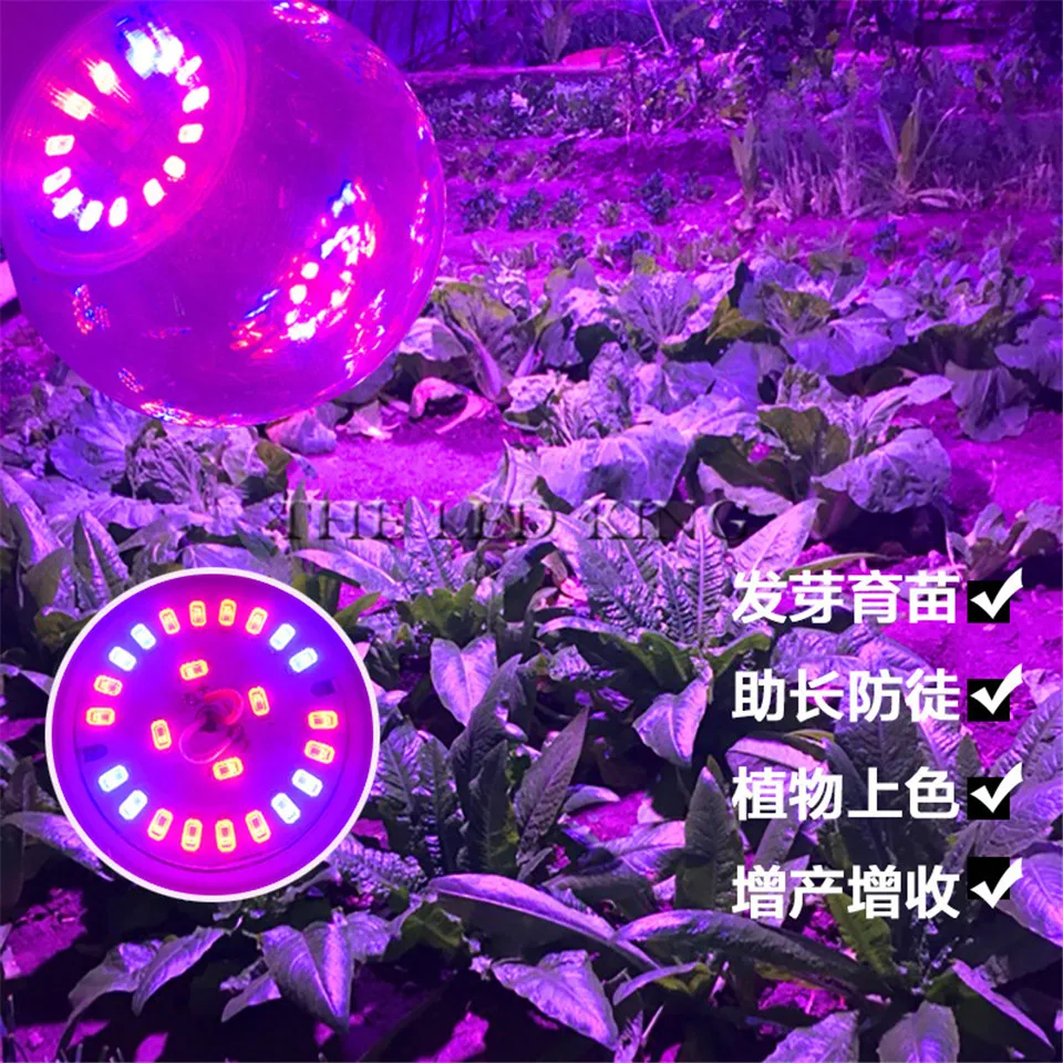 

red blue 3:1 Phyto Led Hydroponic Growth Light E27 Led Grow Bulb Full Spectrum 220V UV Lamp Plant E14 Flower Seedling Fitolamp