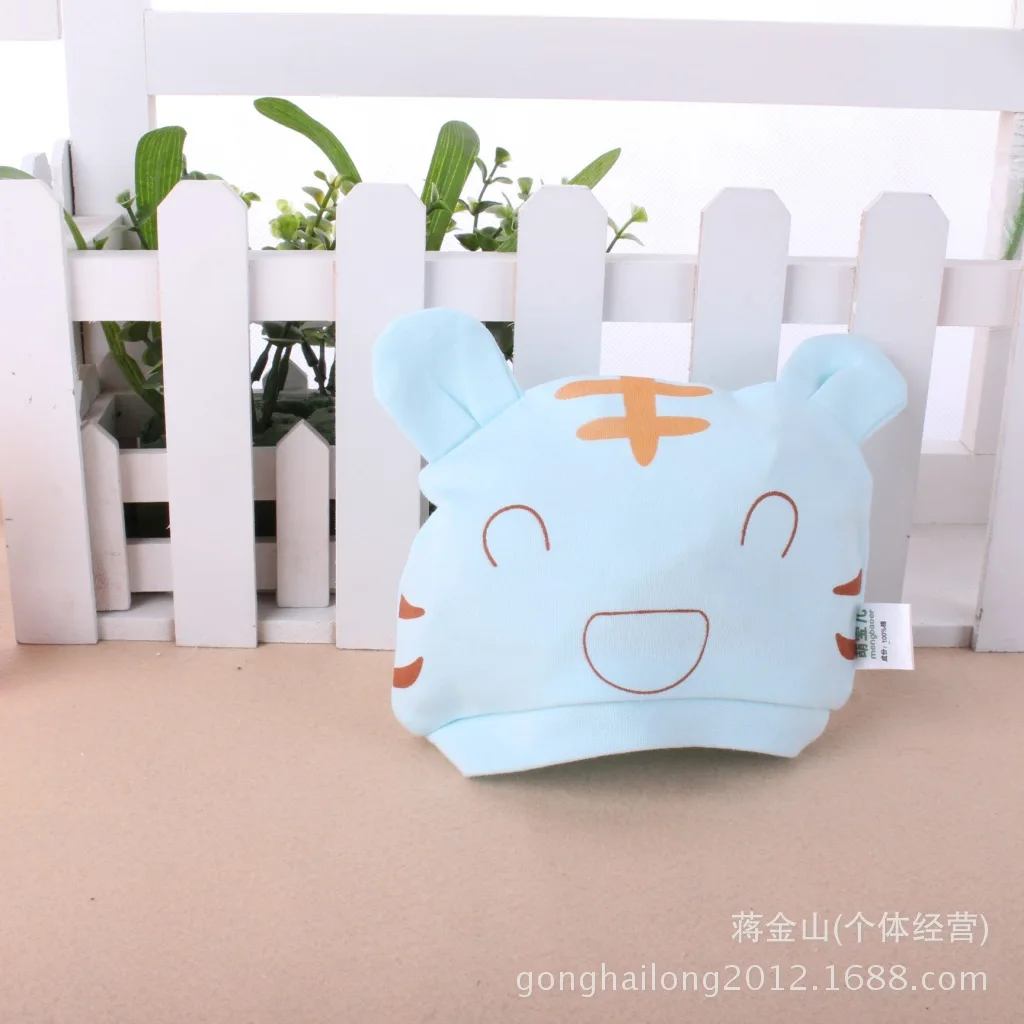 照片 4040