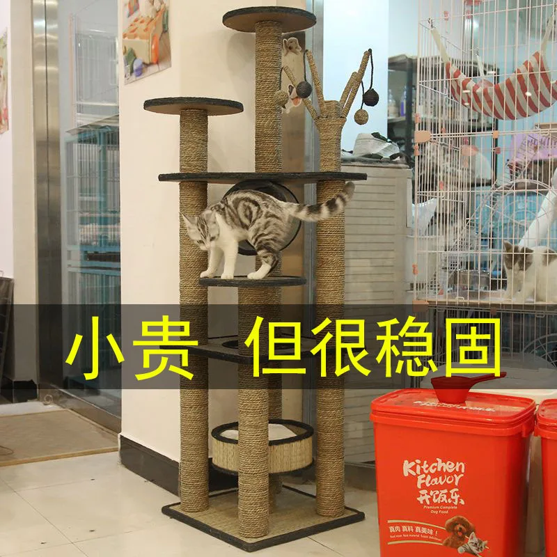 

Cat Climbing Frame Cat Nest Cat Tree One-piece Cat Climber Scratching Pole Large Cat Chamfer Small Cat Scratch Trees Solid Wood