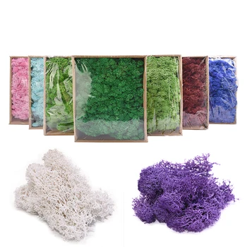 

20g/40g Artificial Plant 13 Colors Eternal Life Green Moss Grass DIY Home Decoration Flower Material Micro Landscape Accessories