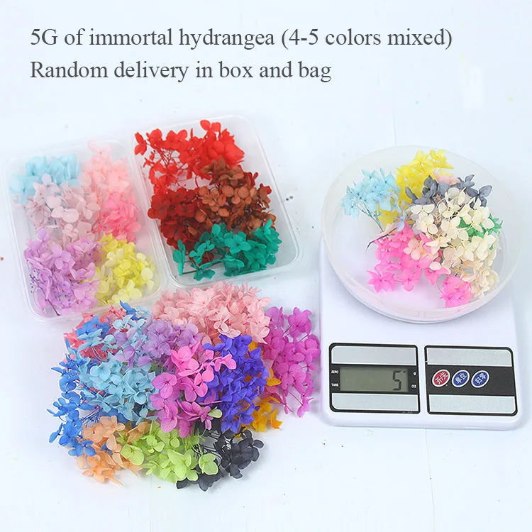 1 Box Real Dry Flower Dried Plants Natural Colorful DIY Frame Fan Embossing Materials Aromatherapy Candle Making Home Decoration 